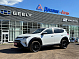 Toyota RAV4 Adventure, 2018 года, пробег 162309 км