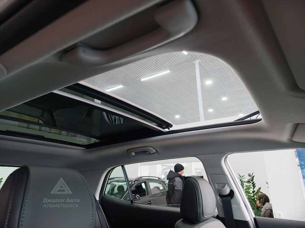 Solaris HC Лайфстайл + Продвинутый (Lifestyle + Advanced), серебряный