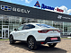 Renault Arkana Style, 2019 года, пробег 107241 км