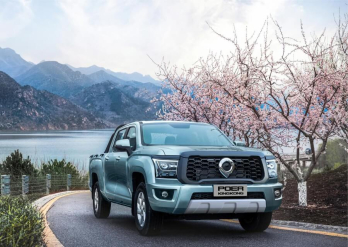 GWM POER KINGKONG в продаже в Диалог Авто