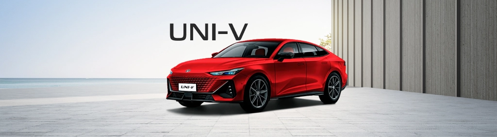 Оцинковка автомобилей Changan